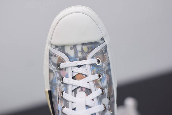 D10R B23 OBLIQUE LOW TOP SNEAKER