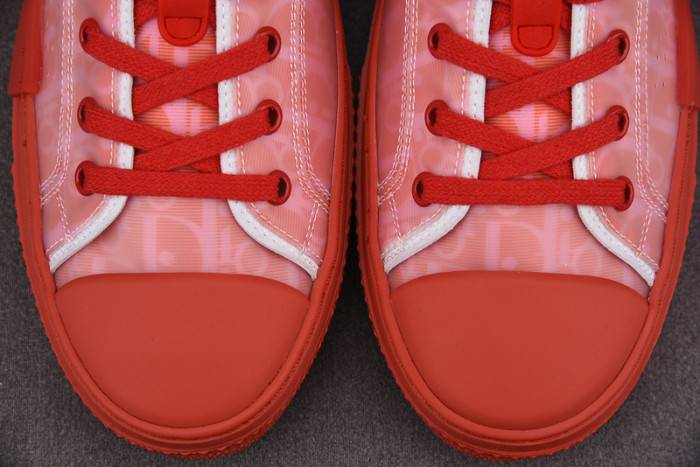D10R B23 Oblique LOW Top Sneaker