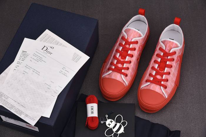 D10R B23 Oblique LOW Top Sneaker