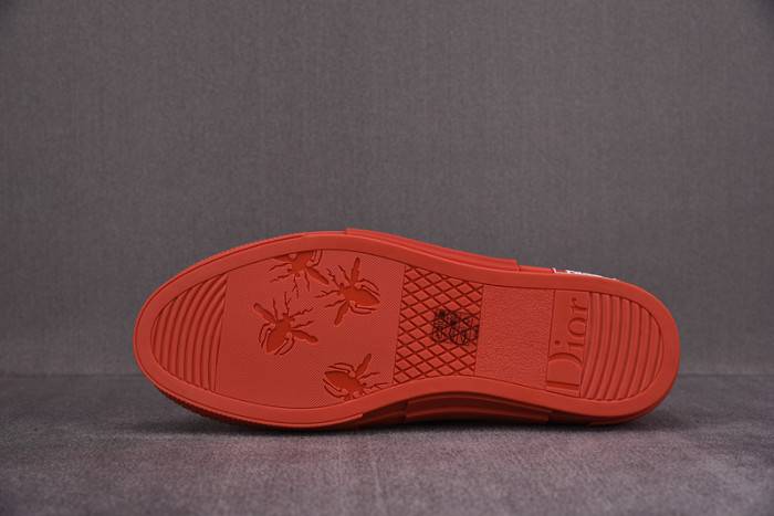 D10R B23 Oblique LOW Top Sneaker
