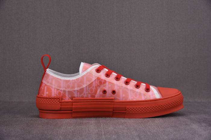 D10R B23 Oblique LOW Top Sneaker