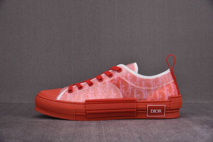 D10R B23 Oblique LOW Top Sneaker