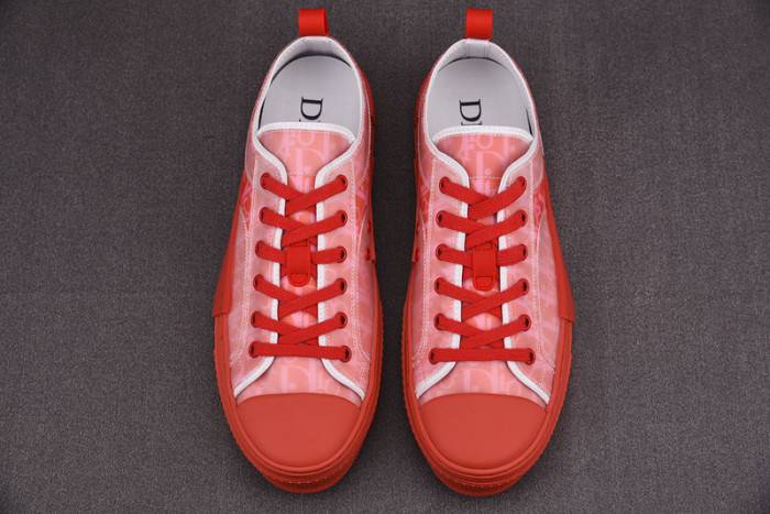 D10R B23 Oblique LOW Top Sneaker