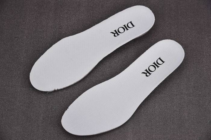 D10R B28 Oblique LOW Top Sneaker