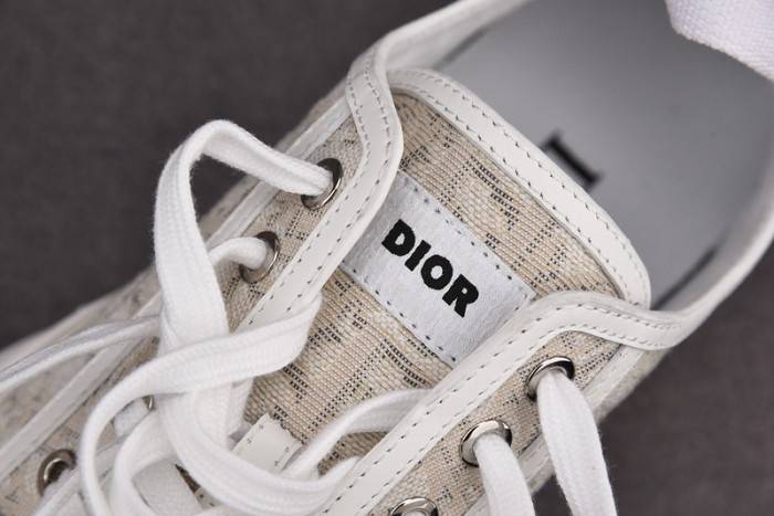 D10R B28 Oblique LOW Top Sneaker