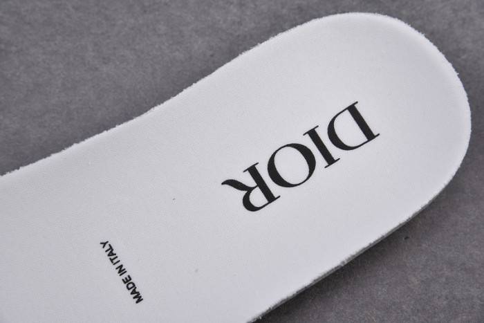 D10R B23 Oblique High Top Sneaker