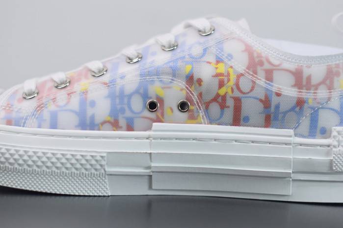 D10R B23 OBLIQUE LOW TOP SNEAKER