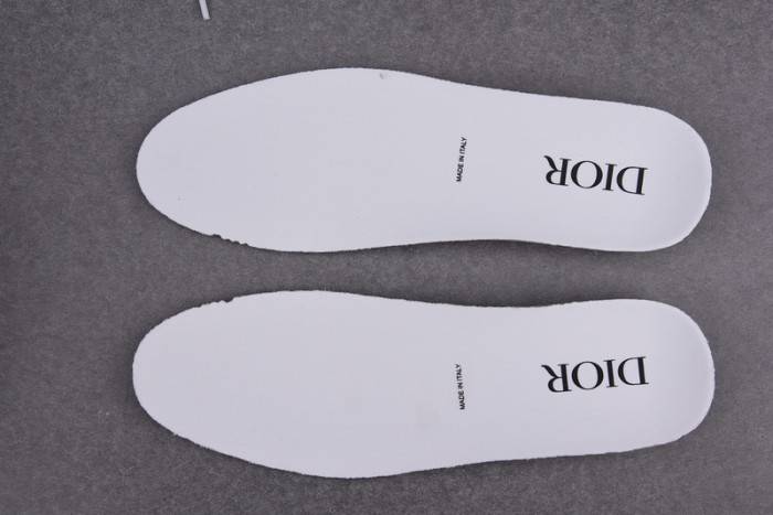 D10R B23 OBLIQUE LOW TOP SNEAKER