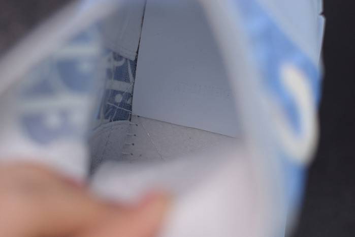 D10R B23 Oblique High Top Sneaker