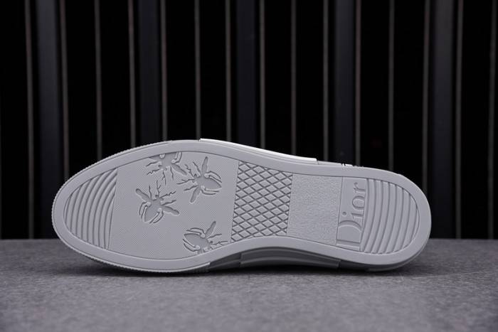 D10R B23 OBLIQUE LOW TOP SNEAKER