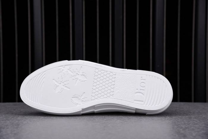 D10R B23 OBLIQUE LOW TOP SNEAKER