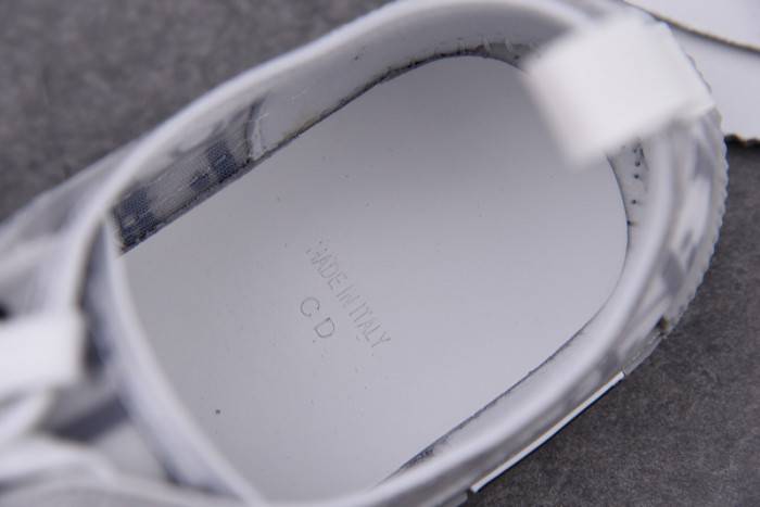 D10R B23 OBLIQUE LOW TOP SNEAKER