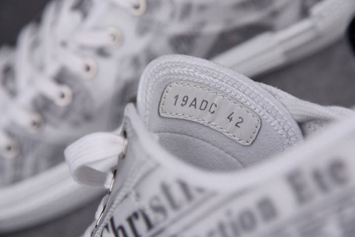 D10R B23 OBLIQUE LOW TOP SNEAKER