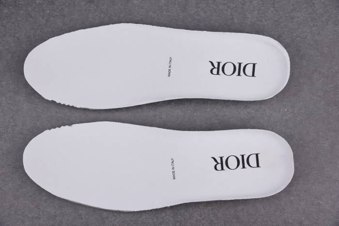 D10R B23 OBLIQUE LOW TOP SNEAKER