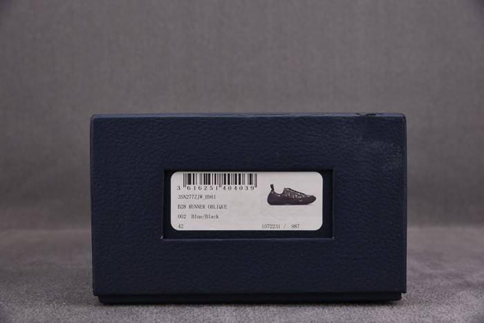 D10R B28 Oblique LOW Top Sneaker