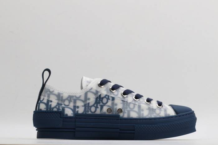 D10R B23 OBLIQUE LOW TOP SNEAKER