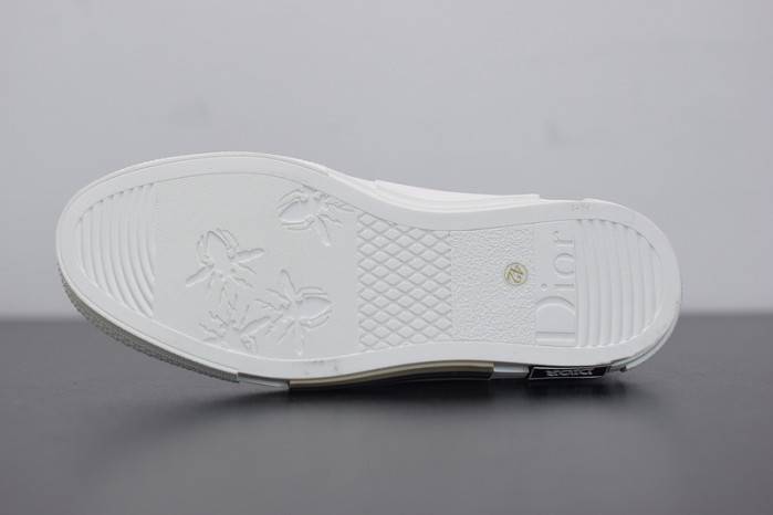D10R B23 OBLIQUE LOW TOP SNEAKER