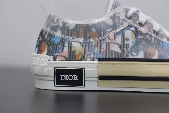 D10R B23 OBLIQUE LOW TOP SNEAKER