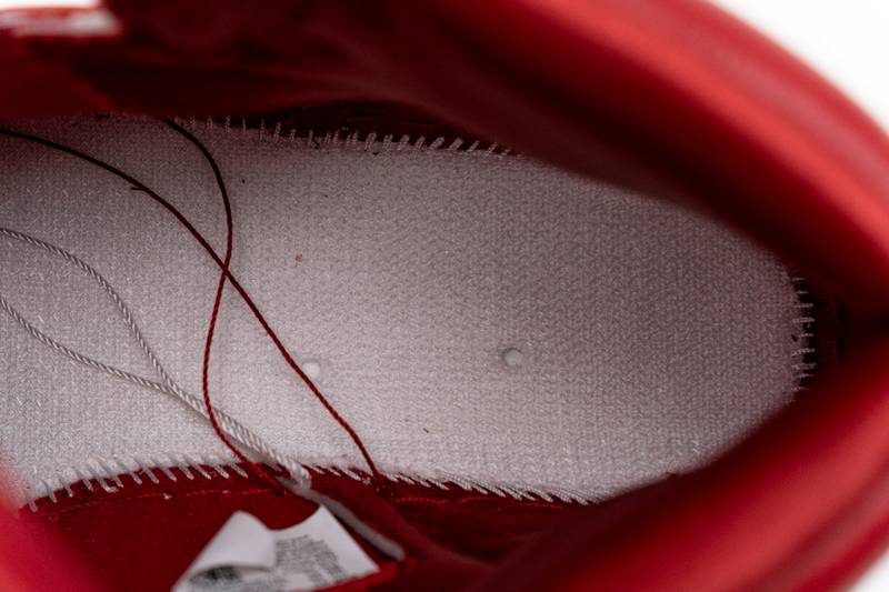 Air Jordan 1 Satin Snakeskin