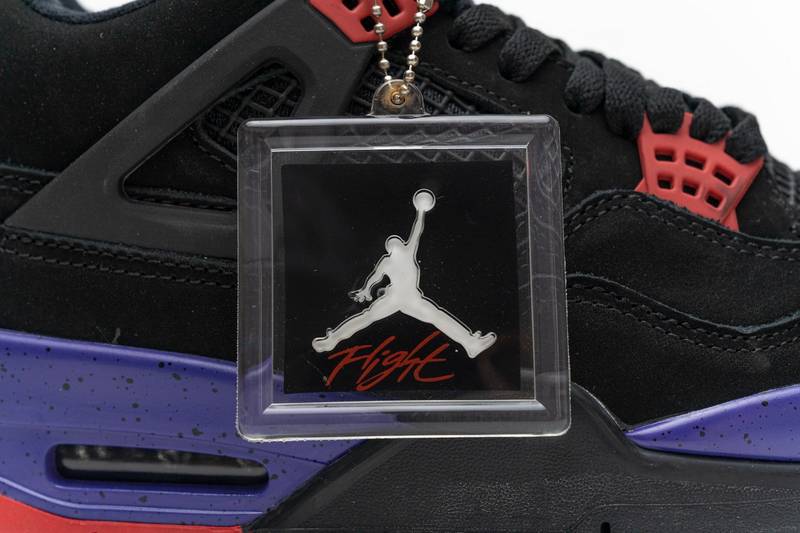 Air Jordan 4 Retro Raptors