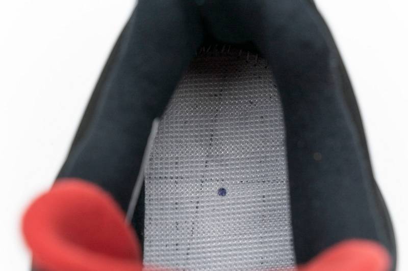 Air Jordan 4 Retro Raptors