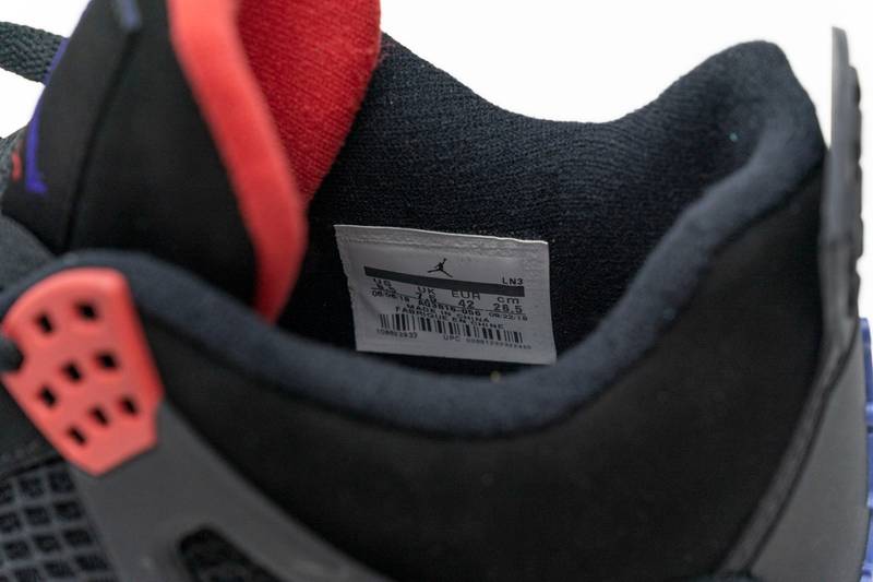 Air Jordan 4 Retro Raptors