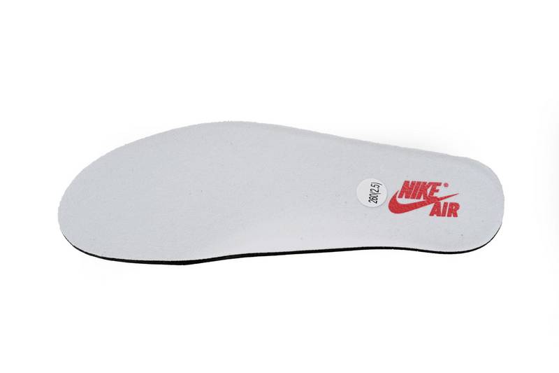 Air Jordan 1 Retro High OG Washed Black