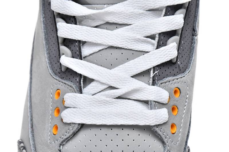 Air Jordan 3 Retro Cool Grey 2021