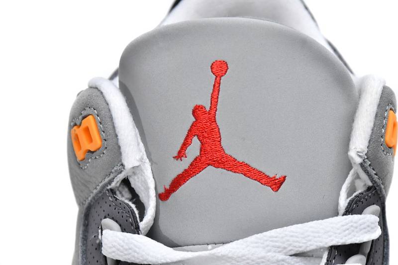 Air Jordan 3 Retro Cool Grey 2021