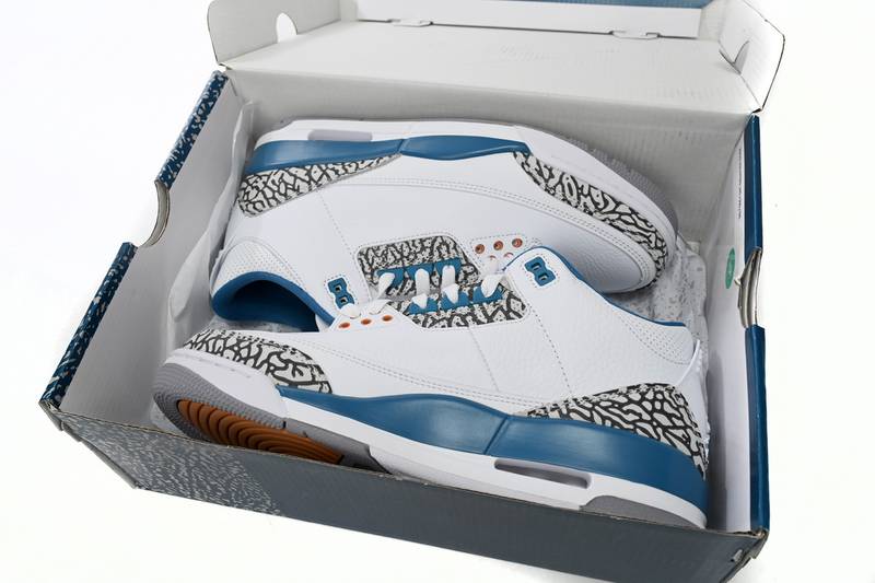 Air Jordan 3 Retro Wizards