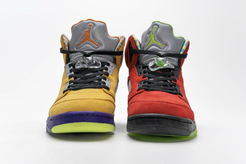 Air Jordan 5 Retro What The