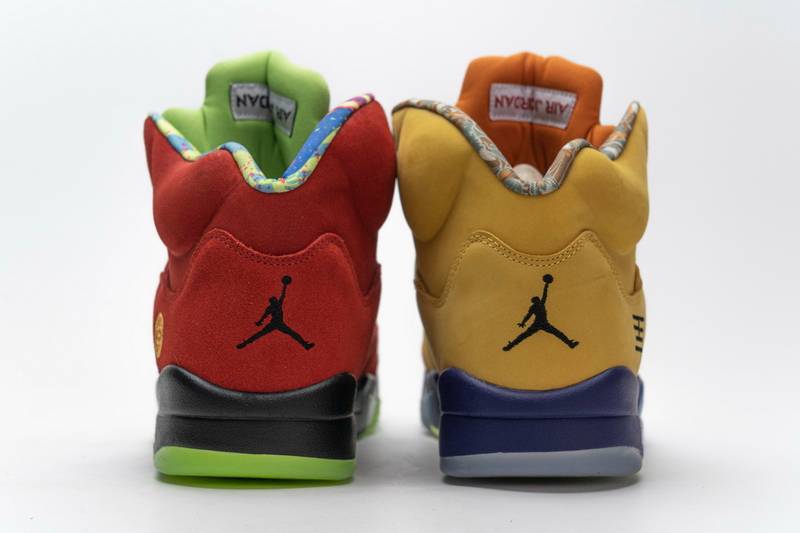 Air Jordan 5 Retro What The