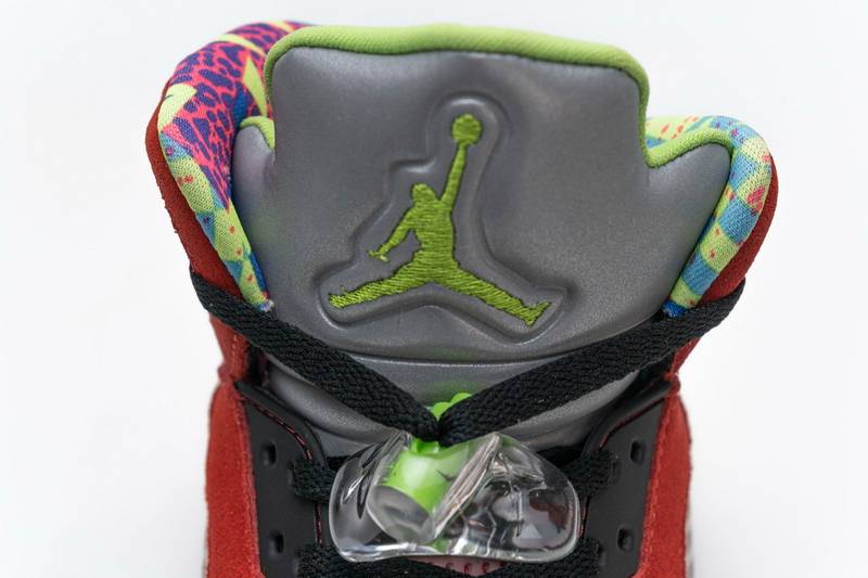 Air Jordan 5 Retro What The