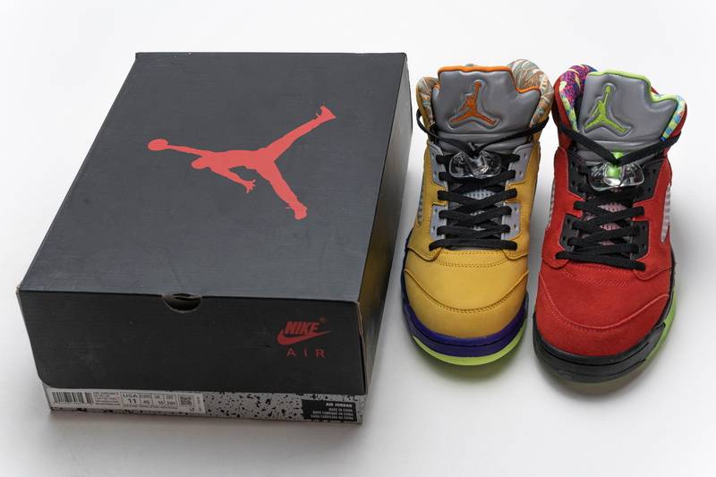 Air Jordan 5 Retro What The