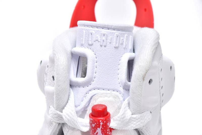 Air Jordan 6 Red Oreo