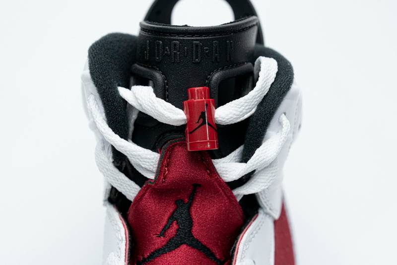 Air Jordan 6 Retro Carmine (2021)