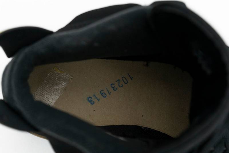Air Jordan 6 Retro DMP