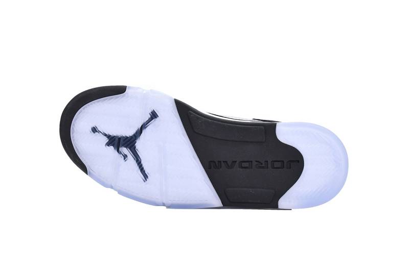 Jordan 5 Retro Moonlight (2021)​