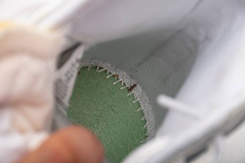 Nike Blazer Mid sacai White Grey