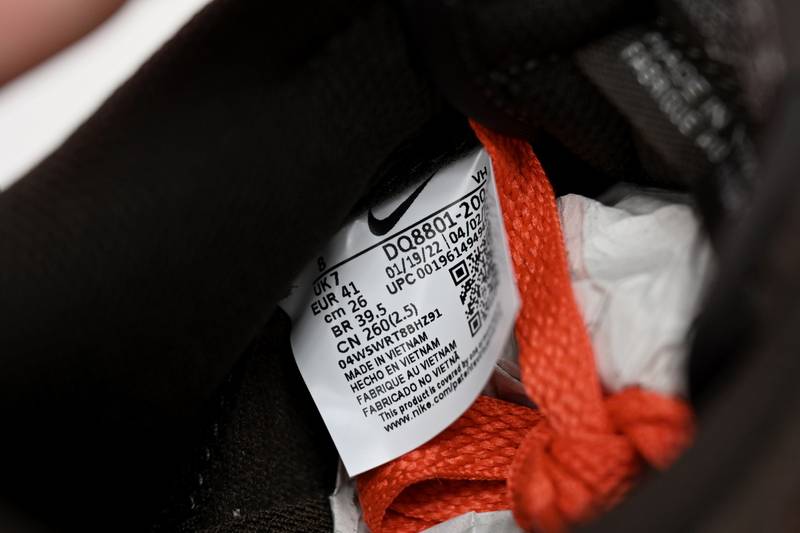 Nike Dunk Low Baroque Brown