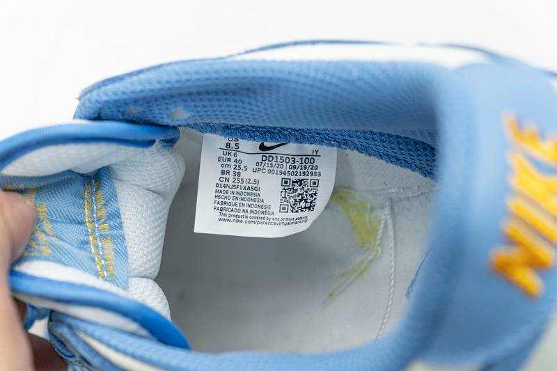 Nike Dunk Low Coast (W)