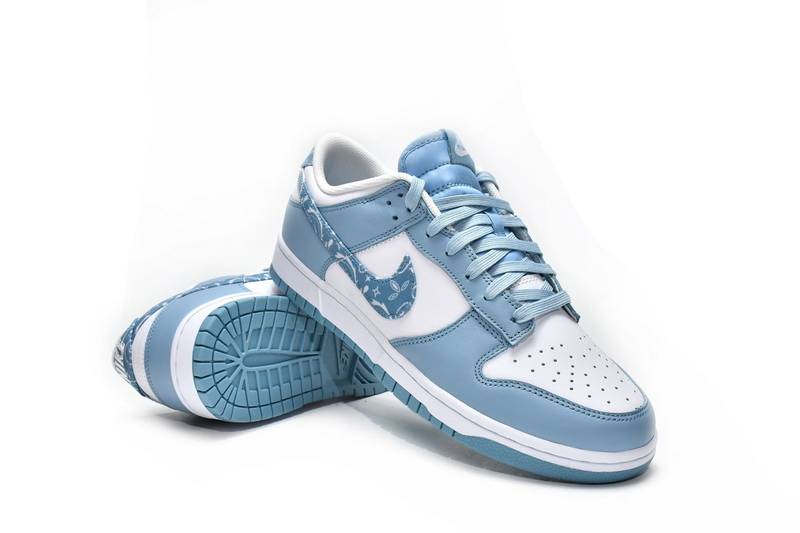 Nike Dunk Low Essential Paisley Pack Worn Blue
