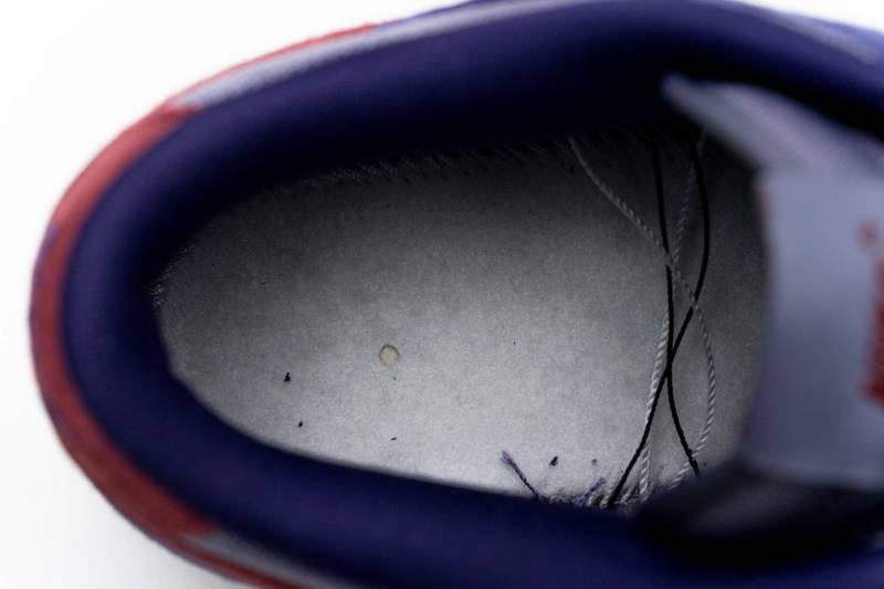 Nike Dunk Low Plum (2020)