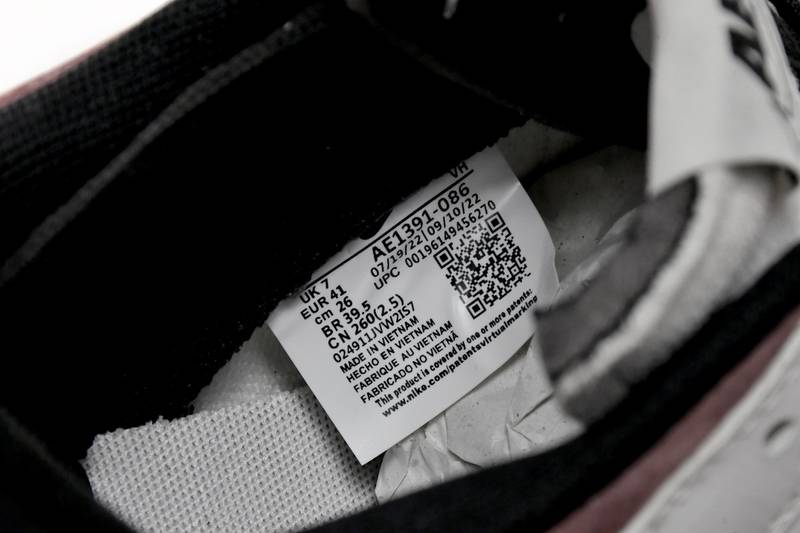 Nike Dunk Low SB AE86