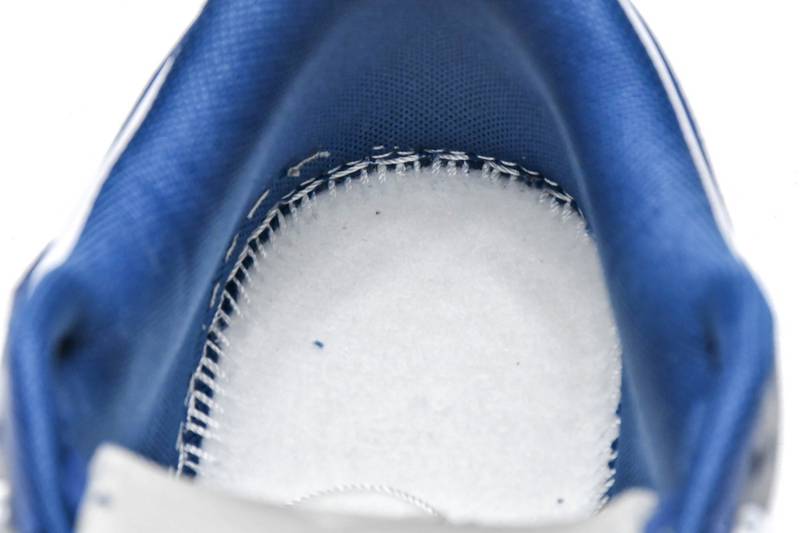 Nike Dunk Low Valerian Blue