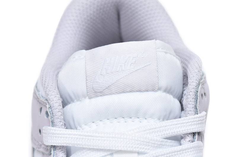 Nike Dunk Low Venice (W)