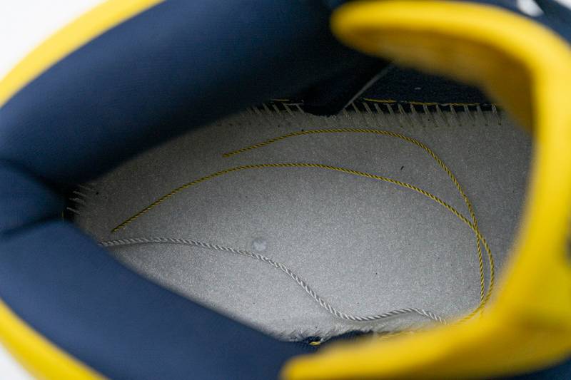 Nike SB Dunk High Michigan