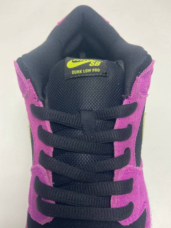 Nike SB Dunk Low ACG Terra Red Plum