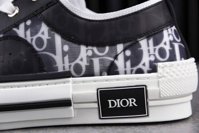 D10R B23 OBLIQUE LOW TOP SNEAKER