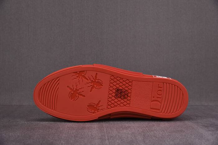 D10R B23 Oblique High Top Sneaker